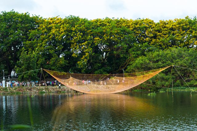 Ngắm[-]hoa[-]sưa[-]nở[-]vàng[-]rực[-]đường[-]phố[-]Tam[-]Kỳ[-]